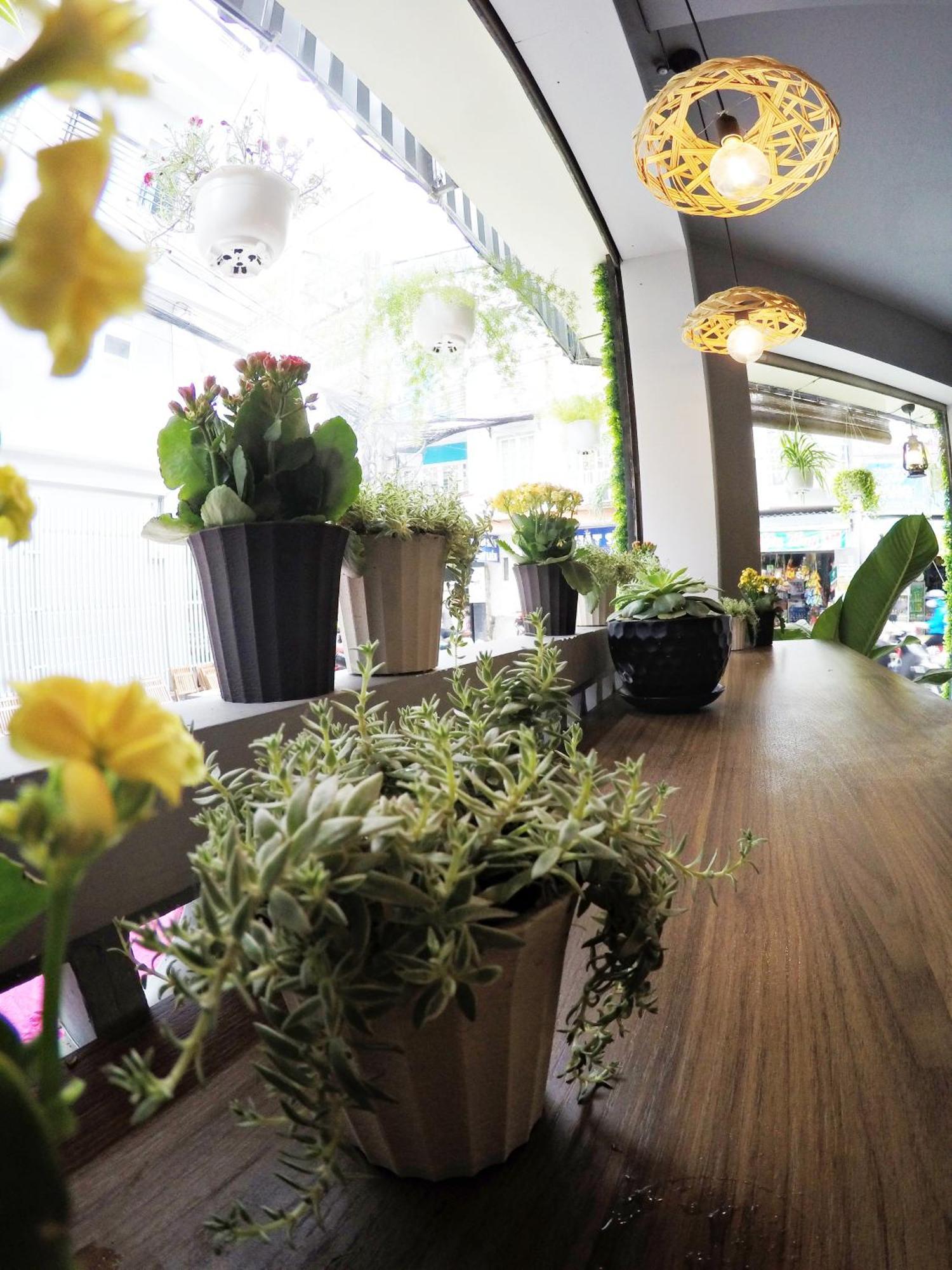 Happy Coffee Guesthouse Thành Pho Ho Chí Minh Esterno foto